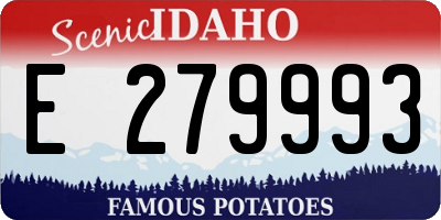 ID license plate E279993