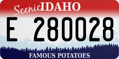 ID license plate E280028