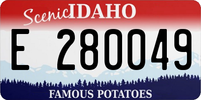 ID license plate E280049