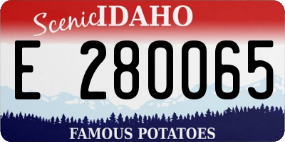 ID license plate E280065