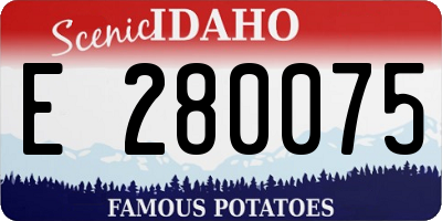 ID license plate E280075