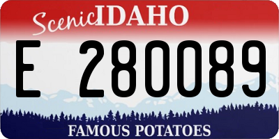ID license plate E280089
