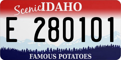 ID license plate E280101