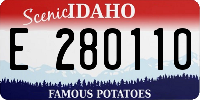 ID license plate E280110