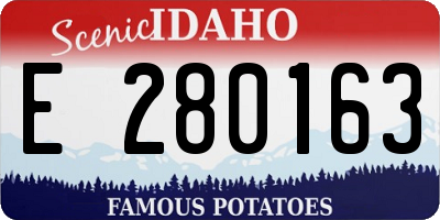ID license plate E280163