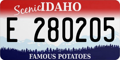ID license plate E280205
