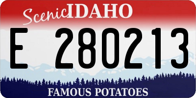 ID license plate E280213