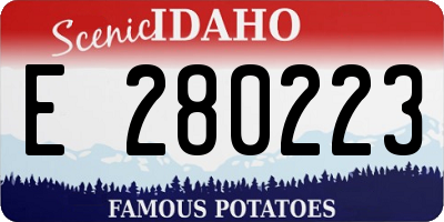 ID license plate E280223