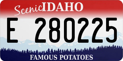ID license plate E280225