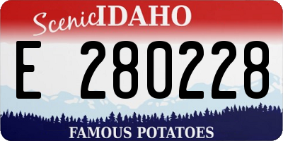 ID license plate E280228