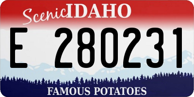 ID license plate E280231