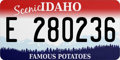 ID license plate E280236