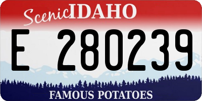 ID license plate E280239