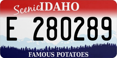 ID license plate E280289