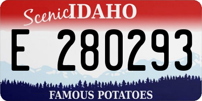 ID license plate E280293