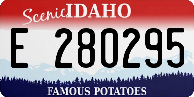 ID license plate E280295