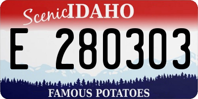 ID license plate E280303