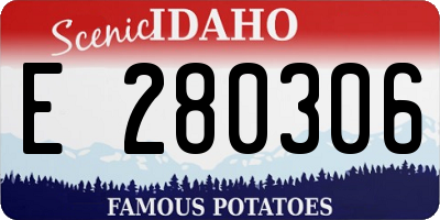 ID license plate E280306