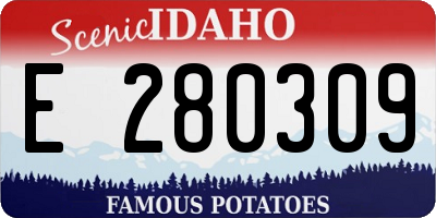 ID license plate E280309