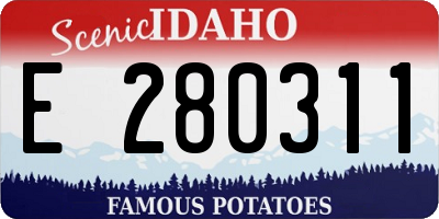 ID license plate E280311