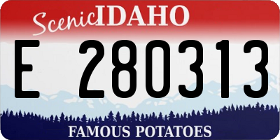 ID license plate E280313