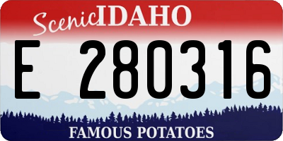 ID license plate E280316