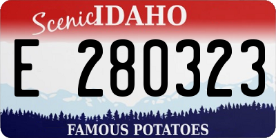 ID license plate E280323