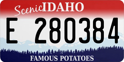 ID license plate E280384
