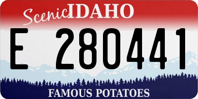 ID license plate E280441