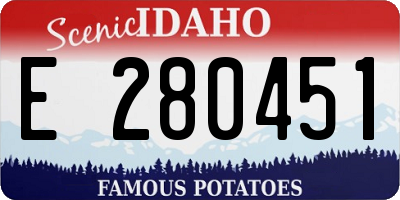 ID license plate E280451