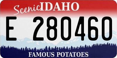 ID license plate E280460