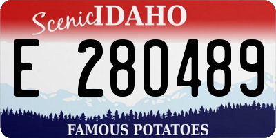 ID license plate E280489