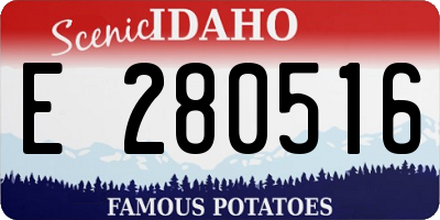 ID license plate E280516