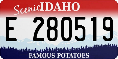 ID license plate E280519