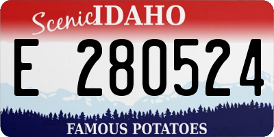 ID license plate E280524