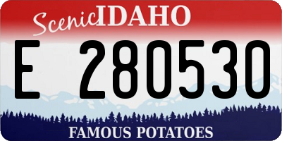 ID license plate E280530