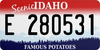 ID license plate E280531