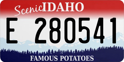 ID license plate E280541