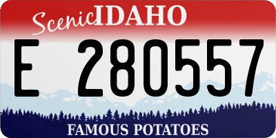 ID license plate E280557