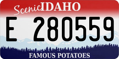 ID license plate E280559