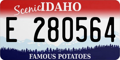 ID license plate E280564