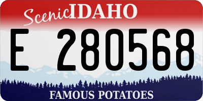 ID license plate E280568