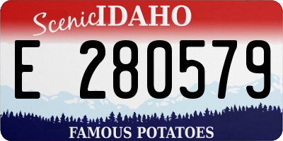ID license plate E280579