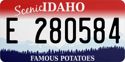 ID license plate E280584