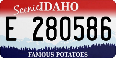 ID license plate E280586