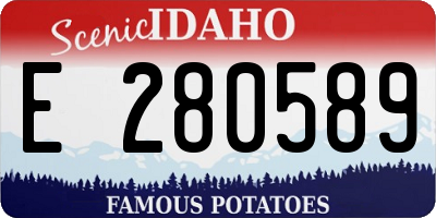 ID license plate E280589