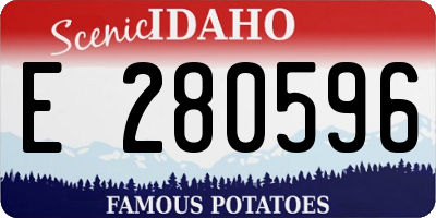 ID license plate E280596