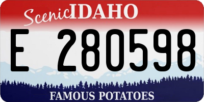 ID license plate E280598