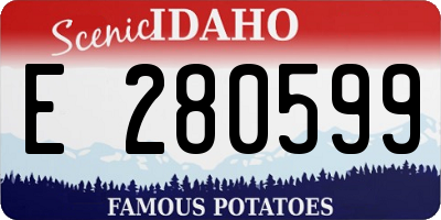 ID license plate E280599