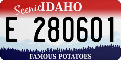 ID license plate E280601